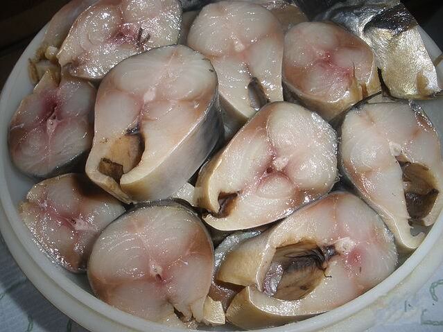 mackerel to increase power